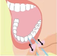歯と歯の間、奥歯のコーナーなどに使う。歯1本1本の表面の曲線に沿わせるようにフロスをくるりと回して前後に動かす。