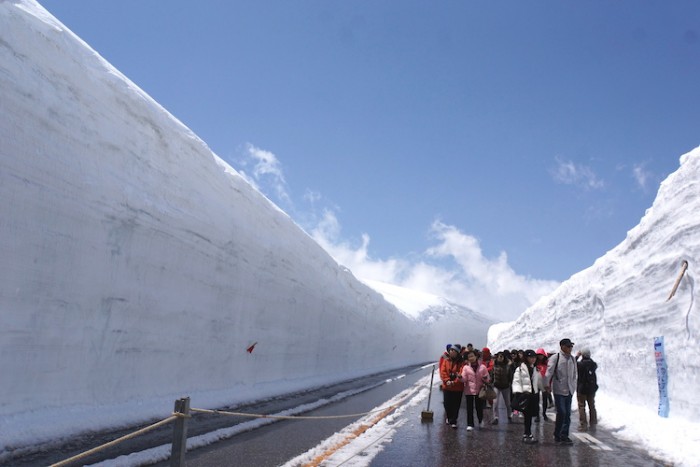 雪の大谷を実際に歩いて体験できるのは毎年4月〜6月の間。