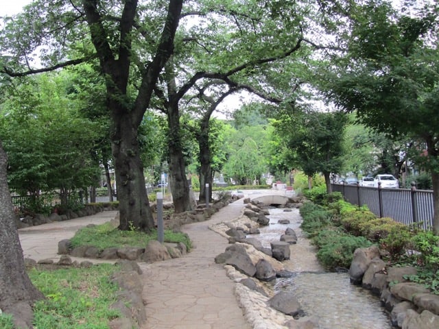 播磨坂の緑道。小川が流れていてなごみます。