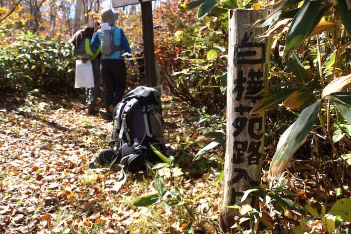「奥志賀白樺苑路コース」入口。森に入る前には軽くストレッチをおこなう。