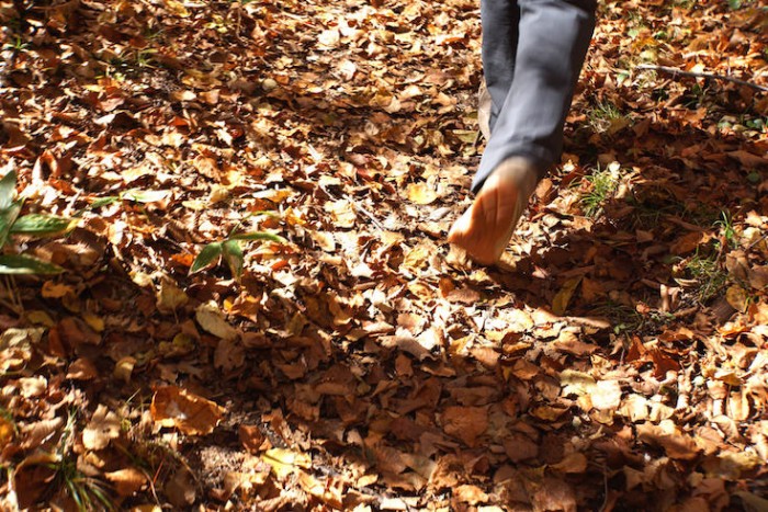 森林セラピーは基本的に軽装での参加がOK。歩きやすい靴で。