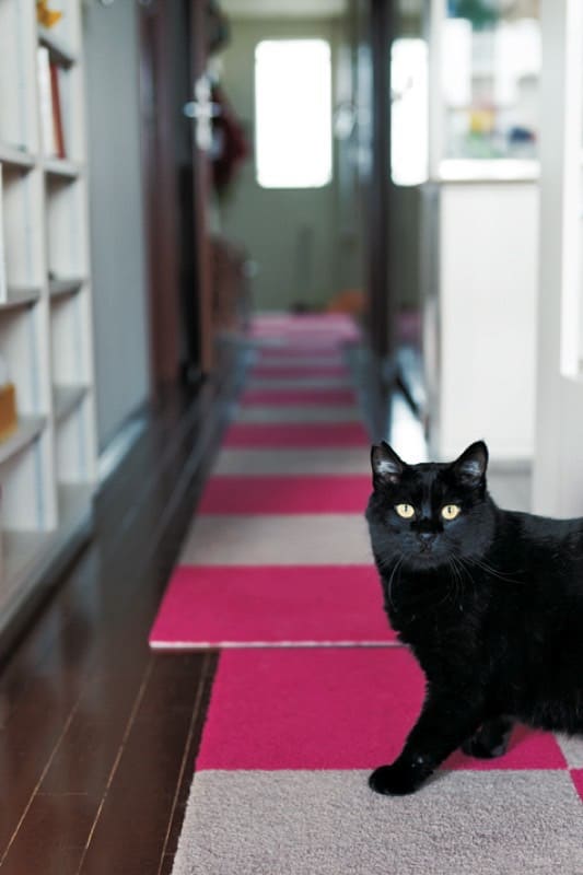 玄関に続く床にもペット用タイルカーペットを敷きつめている。汚れた部分だけ洗う、取り替えるが可能。滑りにくく猫の足腰も守る。
