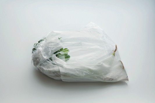 葉が極力ビニール袋に触れないように入れ、冷蔵庫へ。
