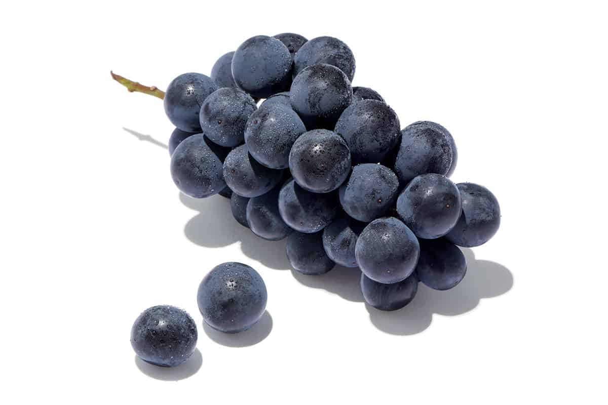 手みやげをひとつ｜ハヤシフルーツの旬の果物