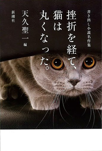 『書き出し小説名作集　挫折を経て、猫は丸くなった。』天久聖一さん｜本を読んで、会いたくなって。