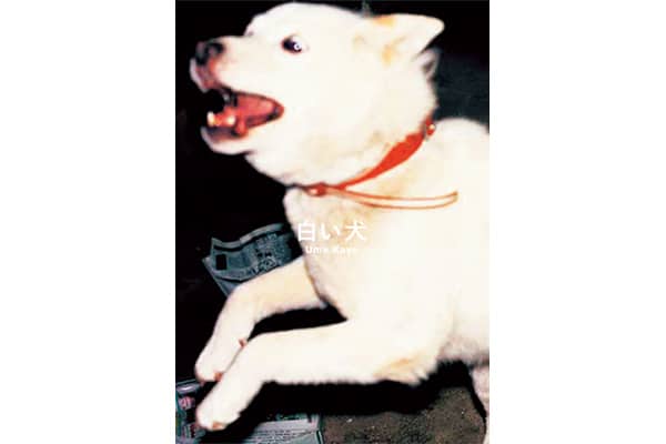 『白い犬』梅 佳代さん｜本を読んで、会いたくなって。