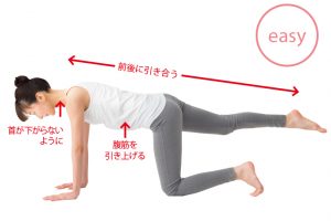 両手両膝をつき片方の脚を上げ、つま先までピンと伸ばして3〜5秒キープ。腹筋に力を入れて上体はまっすぐ。反対の脚も。