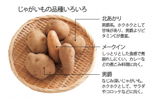 ダイエット食材として注目です。じゃがいもの成分ポテインで 食事を減らしても満腹に。