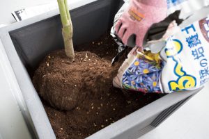 様々な土や養分が配合された培養土。