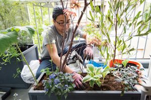 デザイン画は描かず、その場の感覚を大切に植えていく。「植物がいきいき、楽しそうに見えるように植えると動きが出ます」