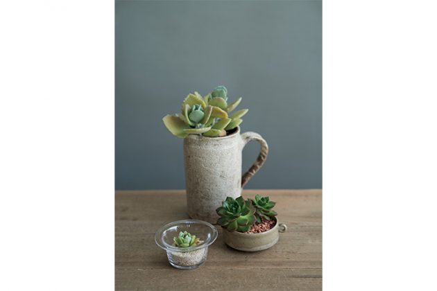 すべての美しい花の画像 無料印刷可能底に穴が開いた草花を育てるための器