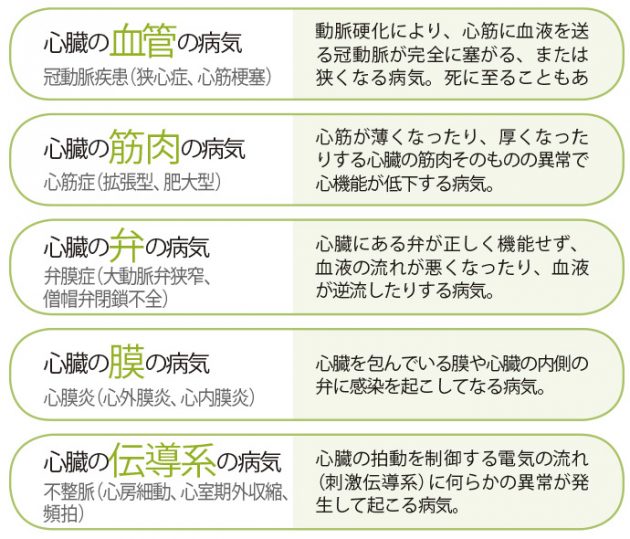 “隠れ心不全”とは？ など、心臓を守るための6つのQ&A 医療と健康 ページ 2 クロワッサン オンライン