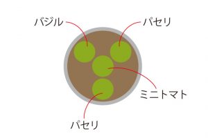 ミニトマトを中心にして、バジルとパセリをバランスよく配置する。