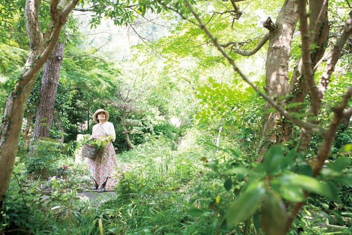 【庭を楽しむ  オオニシ恭子さん】野草の逞しい生命力が、私の身体を作ってくれる。