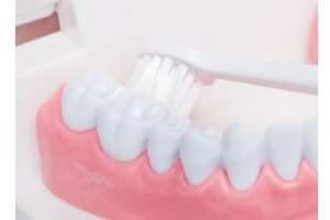奥歯の内側は口を大きく開き、歯ブラシを斜めに入れてみがく。