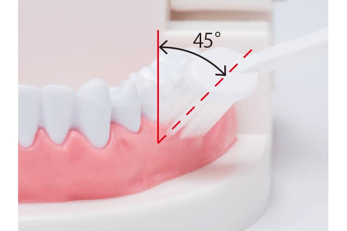 全身疾患の原因にもなる歯周病について詳しく知りたい人のための４つの記事。