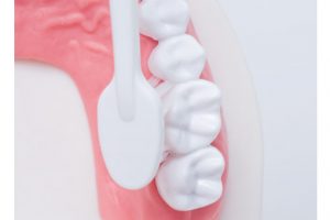 奥歯の内側は口を大きく開き、みがく際は歯ブラシを斜めに入れる。