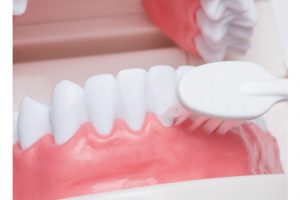 下の前歯の外側は歯ブラシを横にして歯並びに合わせ、左右に細かく動かしてみがく。