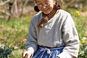 くわを使って畑に植えたブロッコリーを収穫。この日は茹でて食卓に。