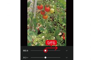 4. 3つのスライダーが表示される。いちばん上の「明るさ」を右になぞると、暗く写った写真が明るくなる。