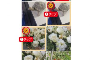 3. 不要な写真をタップ（1）してからゴミ箱をタップ（2）。「アイテムを削除しますか？」と表示が出たら「削除」を選ぶ。