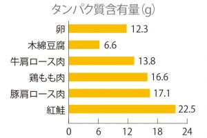 タンパク質含有量。タンパク質はアミノ酸に分解されるが、卵は体内で合成できない9種類の必須アミノ酸を含有。