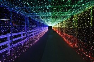 AIの楽曲“キラキラ”に合わせて、装飾された約10万球のイルミネーションの光が動く全長約50mの光のトンネル『ミュージックBOX feat.AI』。