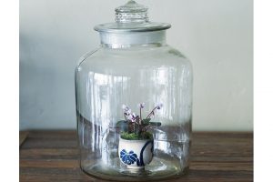 鉢を入れるガラス容器は、蓋つきなら乾燥を防いで湿度を保つ利点も。