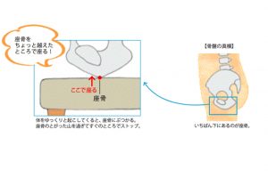 【座骨を見つけて、正しく座る。】座り方を変えるだけで、不調は治る！