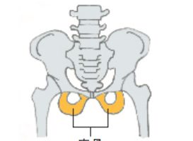 【座骨を見つけて、正しく座る。】座り方を変えるだけで、不調は治る！