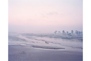 The Crossing, Madhubani, India, 2014 ©Vasantha Yogananthan