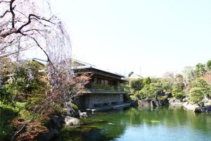 「豊島区立目白庭園」四季折々のさまざまな自然の表情を満喫できるよう、草木を配植。都会の喧騒の一角に造られた貴重な空間であり、日本の伝統文化を身近に感じることができる庭園だ。