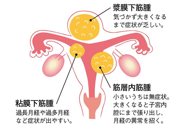 日本相撲協会 メール