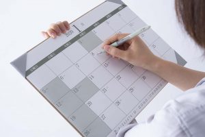 オリジナルスケジュール帳はしっかりした硬さの厚紙付き。バインダーの代わりにもなる。