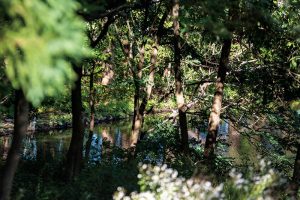 本文でも触れた三内丸山遺跡のはずれにある池は、北の谷にある。