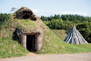 三内丸山遺跡の土葺き竪穴建物。奥は樹皮葺き竪穴建物。