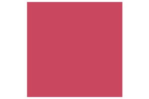 「No.11 ピオニー（限定色）」淡くも存在感のあるフレッシュ・ピンク。春に咲き誇るピオニーのように目元を華やかに彩る。