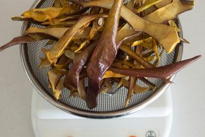 4時間半ほどで自動停止。文字どおりパリパリに。重さを量ってみたら25g（ザルは除く）、なんと90g減！　もとの重量からおよそ5分の1に。