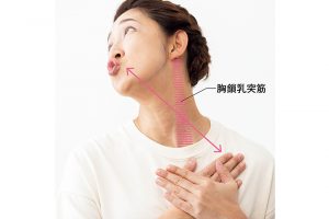 1.唇を「う」の形にし、両手を重ねて鎖骨を押さえる。8秒かけて押さえている鎖骨とは逆方向にゆっくりとアゴを上げていく。