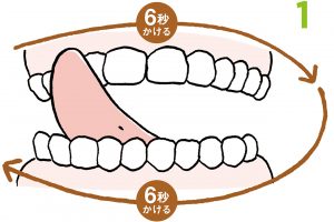 1.口は閉じた状態で舌を歯ぐきの右上奥につけ、歯ぐき表面をなぞって右上から右下へ、ゆっくり円を描くようにぐるりと回す。奥歯の先までしっかり舌を伸ばすこと。上下それぞれ6秒ずつかけるのが目安。