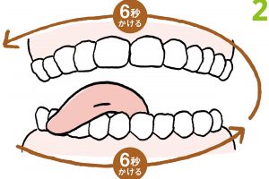 2.右下から1でなぞったところを折り返し、右上まで戻る。下の前歯に舌が当たると痛みを感じる場合は、なるべくゆっくり回すこと。それにより舌の筋肉が刺激できる。上下6秒ずつかける。