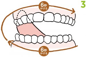 3.舌で歯ぐきの裏側を左下から左上へぐるりとなぞる。食べかすなどの汚れを掃除するイメージで歯と歯ぐきの間を丹念に。上下6秒ずつかける。