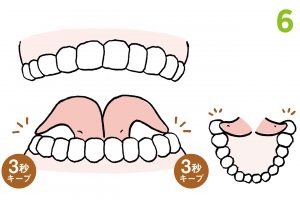 6.同様に、右下奥と左下奥の歯に舌をつける。3秒ずつキープ。舌下腺が刺激されて唾液が出るので、下あごの内側に唾液が溜まっているはず。その唾液で軽く口をゆすぐとよい。