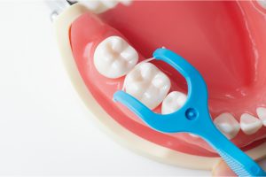 奥歯の側面に使うときは、フロスを歯のカーブに沿わせる。