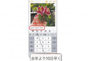 7.画像にメモや説明を追加したいときは、画像の下をタップするとテキスト入力が可能になる。