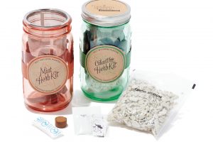 家で簡単に気軽に、野菜を育てられる栽培キット。