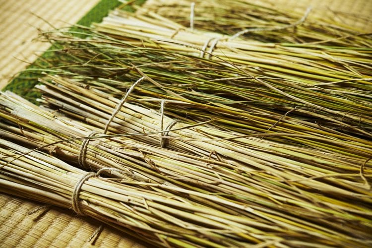【買ってよかったもの】無農薬の稲わらを買って、おうちでわら工芸。 | くらし | クロワッサン オンライン