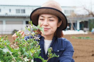 畑にはルッコラも。「ルッコラの花も食べるとおいしいですよ。その場で摘んで口にできることも、畑作業中の楽しみになっています」と、加藤さん。