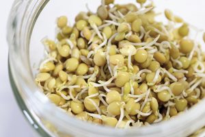 家で簡単に気軽に、野菜を育てられる栽培キット。