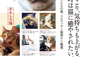 【試し読み付き】6月25日発売の『クロワッサン』最新号は「大人の楽トレ。」